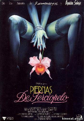 Дикая орхидея 2. Два оттенка грусти (1992) смотреть фильм онлайн